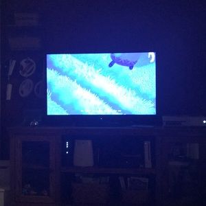 Meet your Posher, Jake